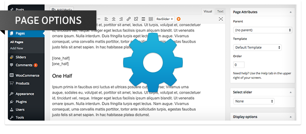 Page Options